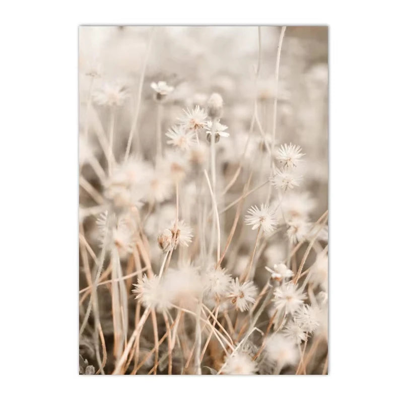 Affiche Murale – Fleurs Séchées, Pissenlit & Cheval | Impression sur Toile