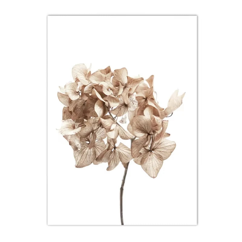Affiche Murale – Fleurs Séchées, Pissenlit & Cheval | Impression sur Toile