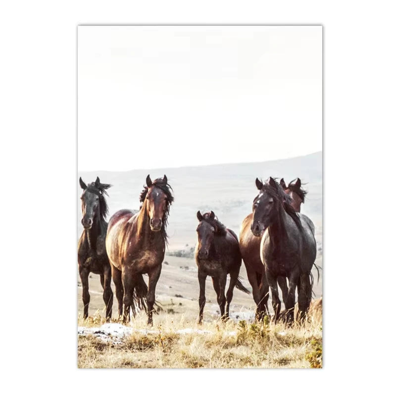 Affiche Murale – Fleurs Séchées, Pissenlit & Cheval | Impression sur Toile